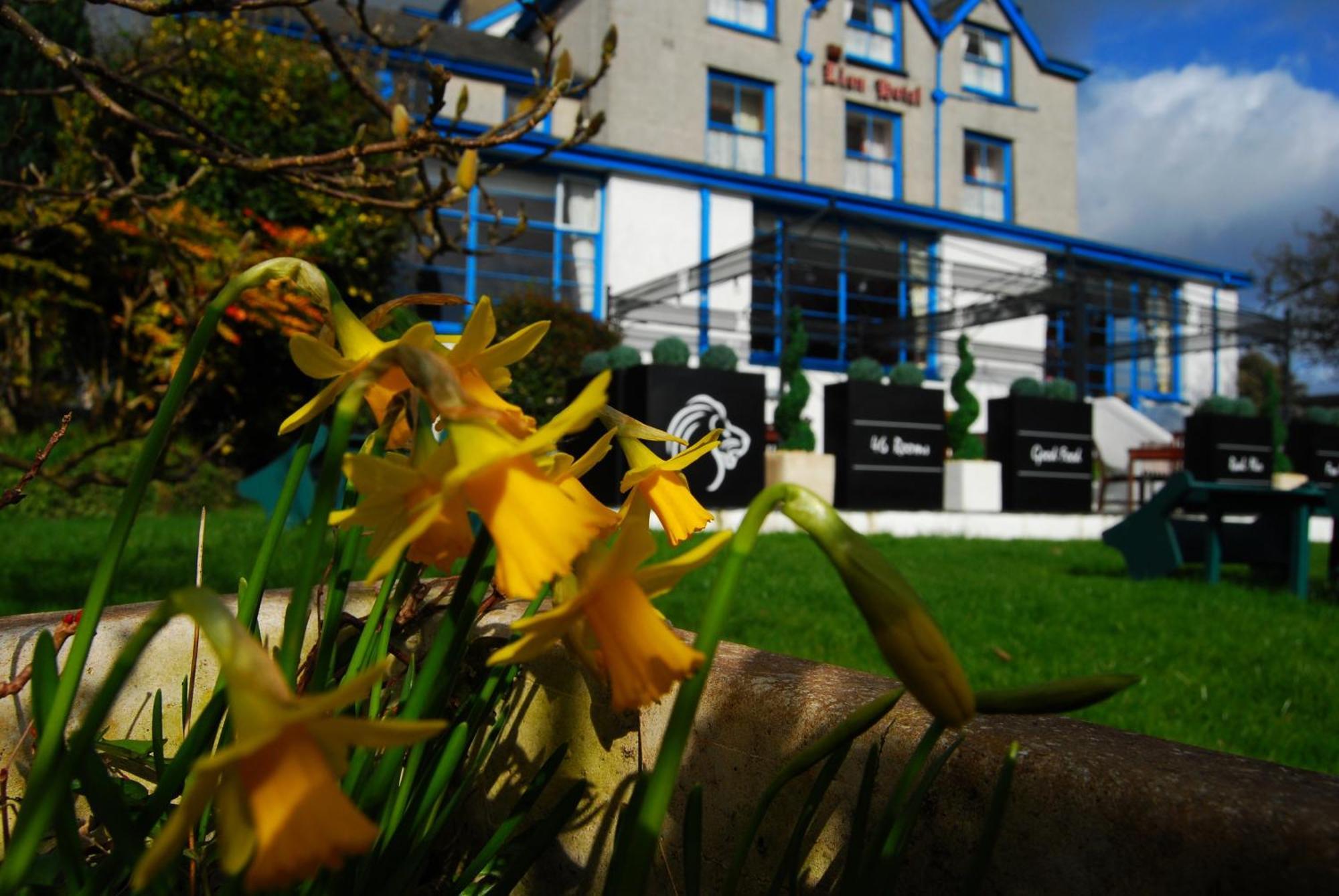 Lion Hotel & Studio Apartments Criccieth Eksteriør billede
